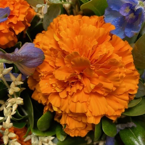 Orange carnation in a bouquet